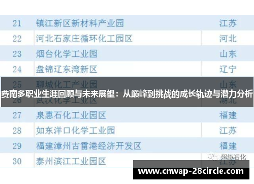费南多职业生涯回顾与未来展望:从巅峰到挑战的成长轨迹与潜力分析 费南多职业生涯回顾与未来展望:从巅峰到挑战的成长轨迹与潜力分析