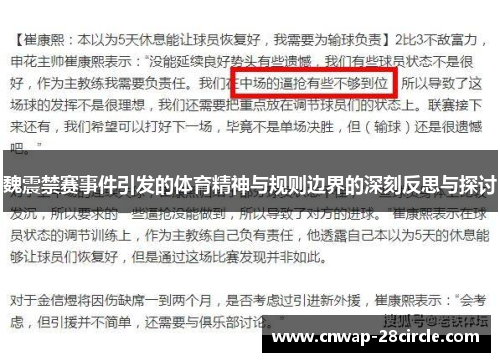 魏震禁赛事件引发的体育精神与规则边界的深刻反思与探讨