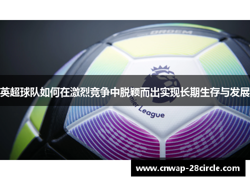 英超球队如何在激烈竞争中脱颖而出实现长期生存与发展