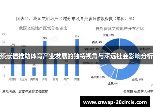 蔡崇信推动体育产业发展的独特视角与深远社会影响分析