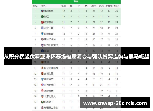 从积分榜起伏看亚洲杯赛场格局演变与强队博弈走势与黑马崛起
