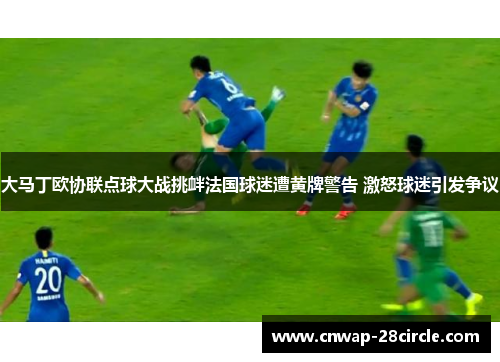 大马丁欧协联点球大战挑衅法国球迷遭黄牌警告 激怒球迷引发争议