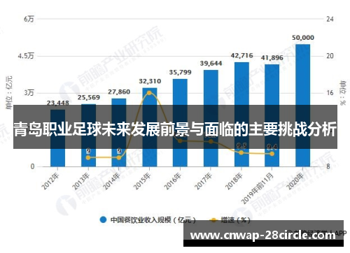 青岛职业足球未来发展前景与面临的主要挑战分析