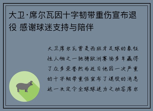 大卫·席尔瓦因十字韧带重伤宣布退役 感谢球迷支持与陪伴